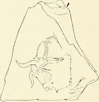 An illustration from An introduction to the study of prehistoric art (1915)
