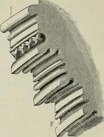 An illustration from An introduction to the study of Gothic architecture (1877)