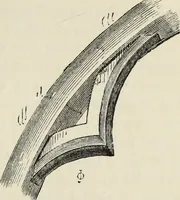 An illustration from An introduction to the study of Gothic architecture (1877)