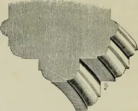 An illustration from An introduction to the study of Gothic architecture (1877)
