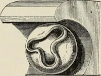 An illustration from An introduction to the study of Gothic architecture (1877)