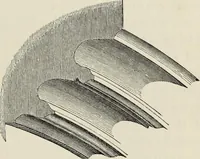 An illustration from An introduction to the study of Gothic architecture (1877)