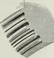 An illustration from An introduction to the study of Gothic architecture (1881)