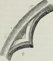 An illustration from An introduction to the study of Gothic architecture (1881)