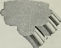 Picture 127 of 198 from An introduction to the study of Gothic architecture (1881), leaf 207