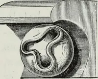 Picture 129 of 198 from An introduction to the study of Gothic architecture (1881), leaf 208