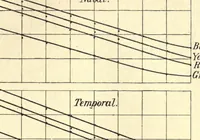 An illustration from An introduction to the study of colour vision (1915)