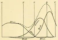 An illustration from An introduction to the study of colour vision (1915)