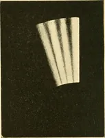 An illustration from An introduction to the study of colour vision (1915)