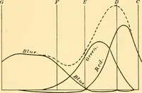 An illustration from An introduction to the study of colour vision (1915)