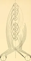 An illustration from An introduction to the study of colour vision (1915)