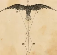 Picture 11 of 250 from Introductory course of natural philosophy for the use of schools and academies. Ed. from Ganot's popular physics. By William G. Peck (1869), leaf 31