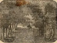 An illustration from Introductory course of natural philosophy for the use of schools and academies. Ed. from Ganot's popular physics. By William G. Peck (1869)