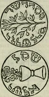 An illustration from Introduzione alla storia della pratica delle medaglie (1673)