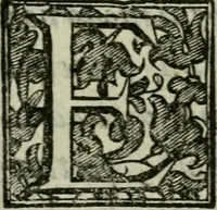 An illustration from Introduzione alla storia della pratica delle medaglie (1673)