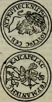 An illustration from Introduzione alla storia della pratica delle medaglie (1673)