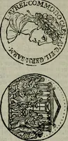 An illustration from Introduzione alla storia della pratica delle medaglie (1673)