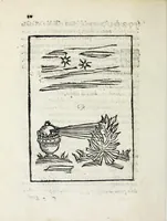 An illustration from Inventioni di Gio. Battista Isacchi da Reggio, nelle quali si manifestano varij secreti, & vtili auisi a persone di gverra, e per i tempi di piacere (1579)