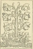 An illustration from The invention of printing : a collection of facts and opinions descriptive of early prints and playing cards, the block-books of the fifteenth century, the legend of Lourens Janszoon Coster, of Haarlem, and the work of John Gutenberg and his associates (1878)