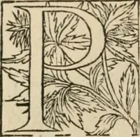 An illustration from Novvelles inventions povr bien bastir et a petits fraiz (1576)