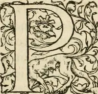 An illustration from Novvelles inventions povr bien bastir et a petits fraiz (1576)