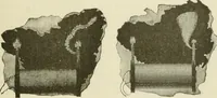 Picture 59 of 178 from The inventions : researches and writing of Nikola Tesla, with special reference to his work in polyphase currents and high potential lighting (1894), leaf 182