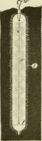 An illustration from The inventions : researches and writing of Nikola Tesla, with special reference to his work in polyphase currents and high potential lighting (1894)