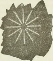 Picture 124 of 178 from The inventions : researches and writing of Nikola Tesla, with special reference to his work in polyphase currents and high potential lighting (1894), leaf 391