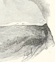 An illustration from Inventors (1896)
