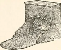 Picture 2 of 73 from Inventors (1896), leaf 23