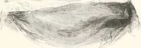 Picture 42 of 70 from Inventors (1893), leaf 202