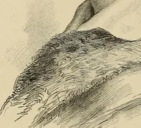 An illustration from Inventors (1893)