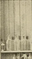 An illustration from Inventors (1893)