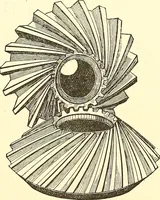Picture 61 of 243 from Inventors at work, with chapters on discovery (1906), leaf 104