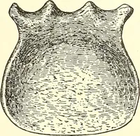 Picture 88 of 243 from Inventors at work, with chapters on discovery (1906), leaf 128