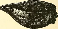 Picture 117 of 243 from Inventors at work, with chapters on discovery (1906), leaf 153