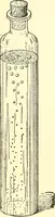 Picture 124 of 243 from Inventors at work, with chapters on discovery (1906), leaf 167
