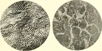 Picture 133 of 243 from Inventors at work, with chapters on discovery (1906), leaf 206