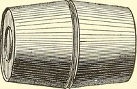Picture 138 of 243 from Inventors at work, with chapters on discovery (1906), leaf 230