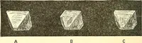 Picture 143 of 243 from Inventors at work, with chapters on discovery (1906), leaf 239