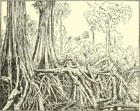 Picture 159 of 243 from Inventors at work, with chapters on discovery (1906), leaf 296