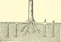 Picture 160 of 243 from Inventors at work, with chapters on discovery (1906), leaf 297