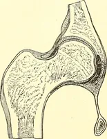 Picture 163 of 243 from Inventors at work, with chapters on discovery (1906), leaf 301