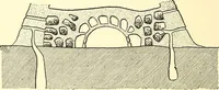 Picture 166 of 243 from Inventors at work, with chapters on discovery (1906), leaf 309