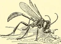 Picture 167 of 243 from Inventors at work, with chapters on discovery (1906), leaf 309