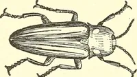 Picture 168 of 243 from Inventors at work, with chapters on discovery (1906), leaf 312