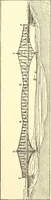 Picture 29 of 243 from Inventors at work, with chapters on discovery (1906), leaf 64