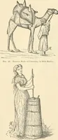 Picture 23 of 75 from The inventors and inventions of Cayuga County, N.Y. (1882), leaf 28