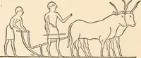 Picture 25 of 75 from The inventors and inventions of Cayuga County, N.Y. (1882), leaf 33