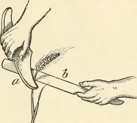 Picture 34 of 75 from The inventors and inventions of Cayuga County, N.Y. (1882), leaf 54